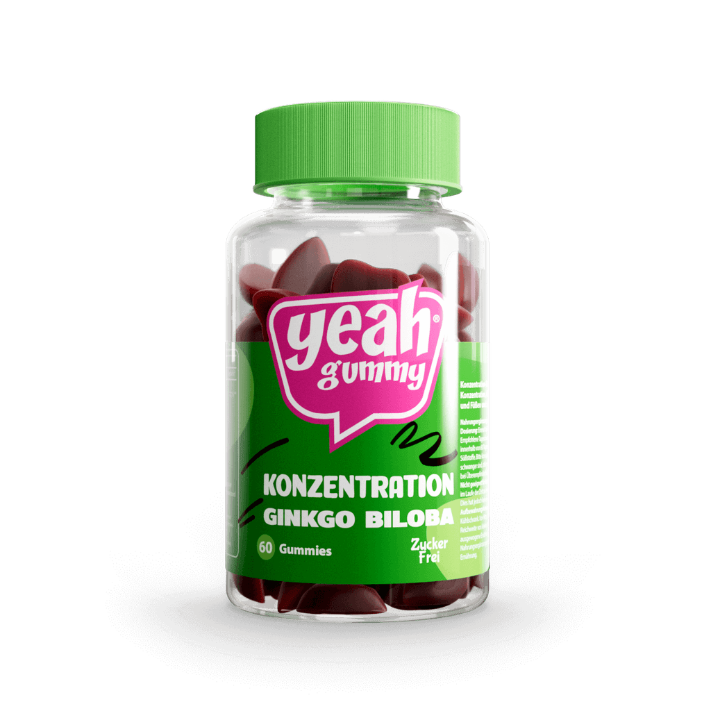 Konzentration Ginkgo Biloba