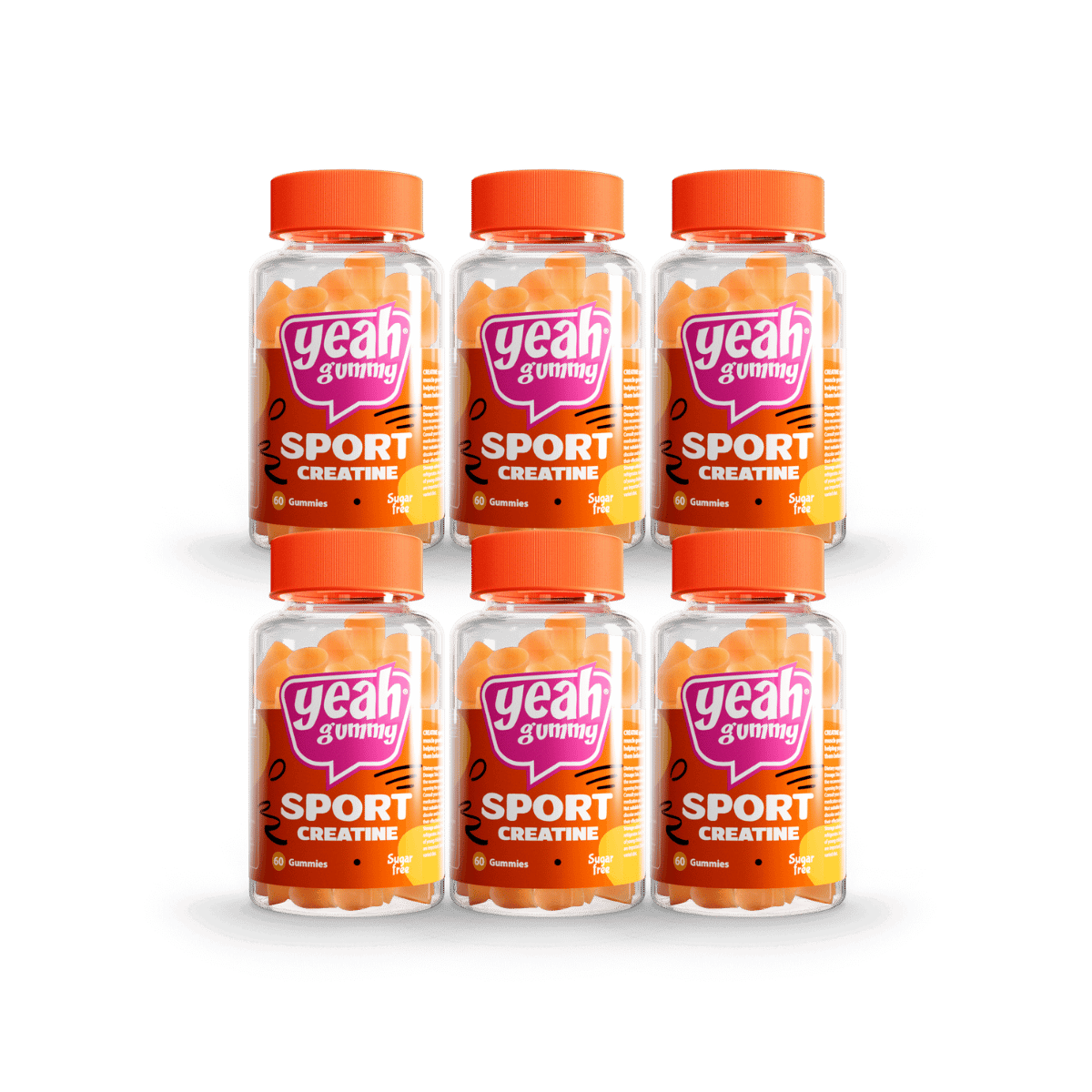 Creatine Bundle XL